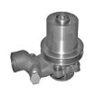 Picture of QCP950 - Water Pump -