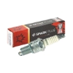 Picture of OE014/T10 - Champion Spark Plug - Double Copper - RC7YCC (BCP7ES)