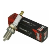 Picture of OE016/T10 - Champion Spark Plug - Double Copper - RC10YCC (BKR6EZB/BKR5EZ)