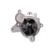 Picture of QCP795 - Water Pump - Hyundai Elantra III Saloon/iX35/Santa Fe II/III/Tucson/Kia Carens II MPV/Cerato I Saloo