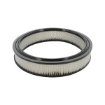 Picture of CAF100224R - Air Filter - CAF100224R - AG804 - CA5132