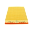 Picture of CAF100718P - Air Filter - CAF100718P - AG999 - CA9391