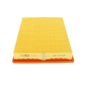 Picture of CAF100718P - Air Filter - CAF100718P - AG999 - CA9391