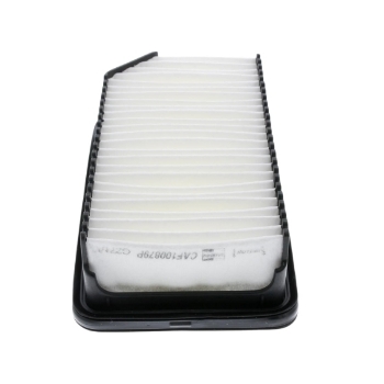 Picture of CAF100879P - Air Filter - CAF100879P - AG1403 - CA10699