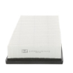 Picture of CAF100918P - Air Filter - CAF100918P - AG1368 - CA10654