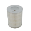 Picture of CAF100955R - Air Filter - CAF100955R - ADG567 - CA3256