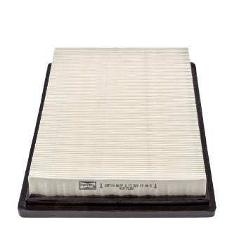 Picture of CAF101061P - Air Filter - CAF101061P - AG1389 - CA10912