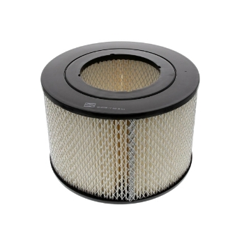 Picture of CAF100209R - Air Filter - CAF100209R - ADG1002 - CA376