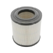 Picture of CAF100484C - Air Filter - CAF100484C - AG831P - CA5304