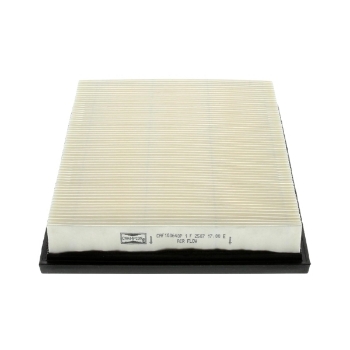 Picture of CAF100640P - Air Filter - CAF100640P - AG1146 - CA5496