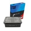 Picture of CAF100829P - Air Filter - CAF100829P - AG1011 - CA9543