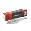 Picture of OE004/T10 - Champion Spark Plug - Double Copper - RN9YCC (BPR6ESZN)