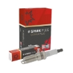 Picture of OE031/T10 - Champion Spark Plug - Double Copper - RES9YCC4 (TR5B13/TR6B10)