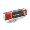 Picture of OE089/T10 - Champion Spark Plug - Double Copper - RC9MCC4 (ZFR6F11/ZFR6K11/ZFR6F11G/ZFR6J11)