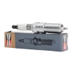 Picture of OE176/T10 - Champion Spark Plug - Double Platinum - KC8ZPYPB4 (PZFR5D11)