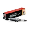 Picture of OE184/T10 - Champion Spark Plug - Iridium - RC10WMPB2 (IZFR5B)